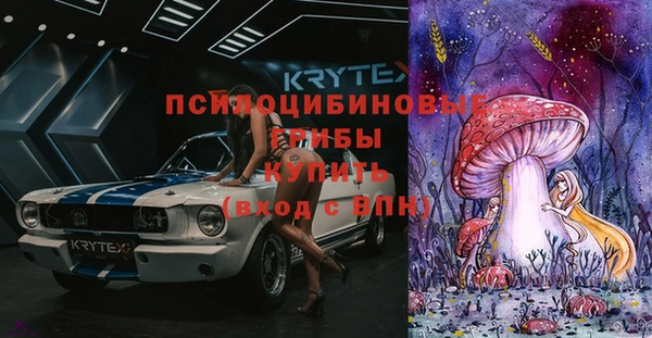 2c-b Белокуриха