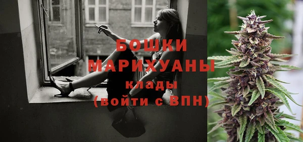 PSILOCYBIN Белоозёрский