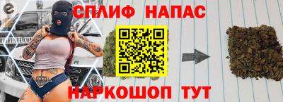 твердый Бийск