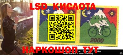 твердый Бийск