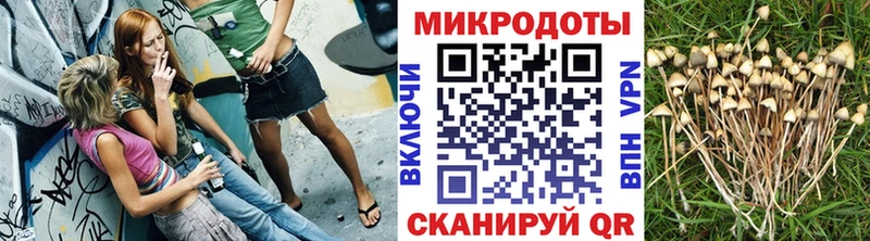 Псилоцибиновые грибы GOLDEN TEACHER  блэк спрут tor  Гусь-Хрустальный 