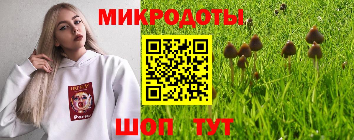 Гусь-Хрустальный  Псилоцибиновые грибы GOLDEN TEACHER  Вход с VPN 