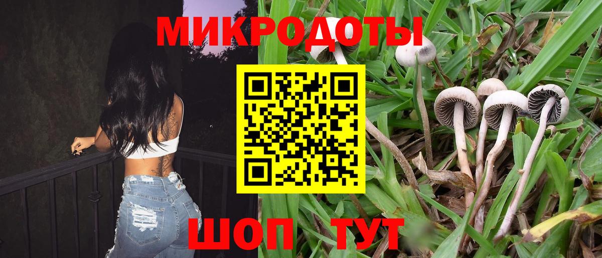 Бошки Шишки Гусь-Хрустальный