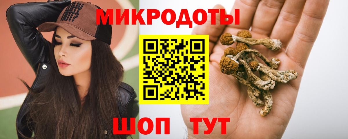 Галлюциногенные грибы Psilocybe  Гусь-Хрустальный 